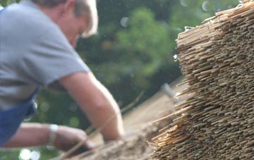 professional Talbenny thatchers